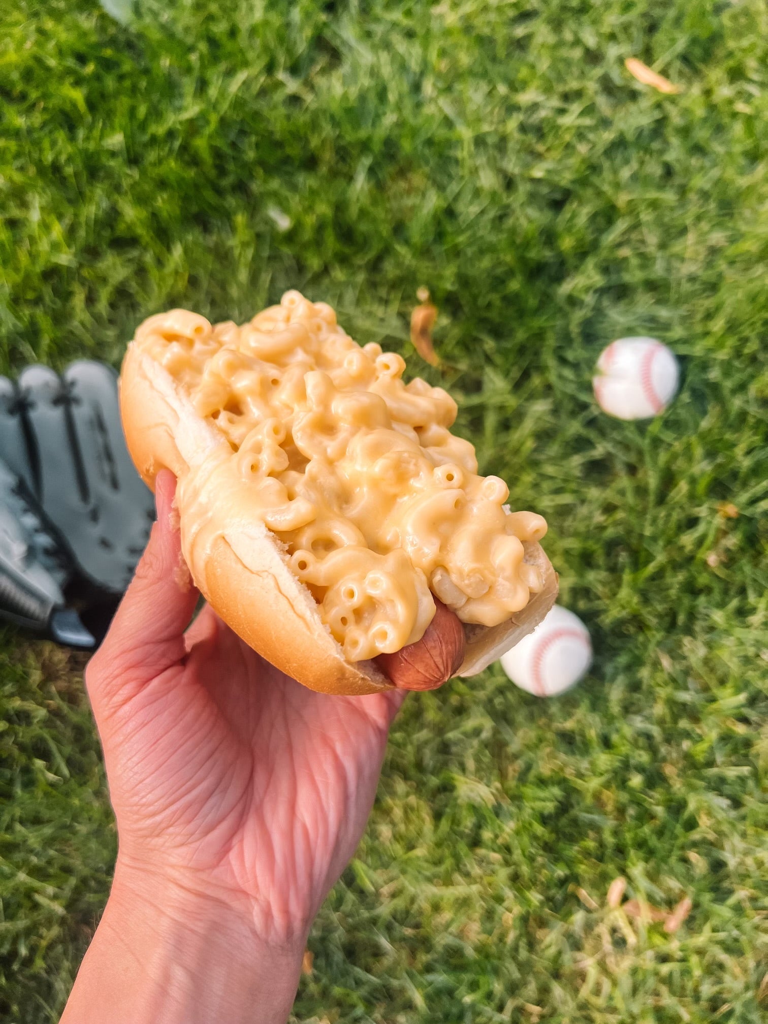 3FD s Ballpark Dog 3 Farm Daughters Store 3fd-s-ballpark-dog-3-farm-daughters-store